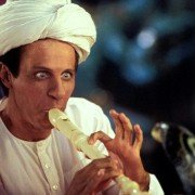 The Master of Disguise - galeria zdjęć - filmweb