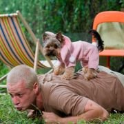 Ciacho - galeria zdjęć - filmweb
