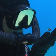 Puff: Wonders of the Reef - galeria zdjęć - filmweb