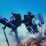 Puff: Wonders of the Reef - galeria zdjęć - filmweb