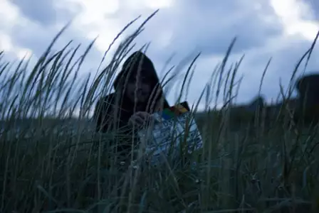 Bambieffekten - galeria zdjęć - filmweb