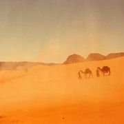 Lawrence of Arabia - galeria zdjęć - filmweb