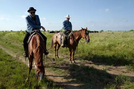 Świat według Jeffa Goldbluma - galeria zdjęć - filmweb