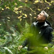 The World According to Jeff Goldblum - galeria zdjęć - filmweb