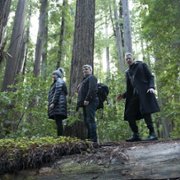 Świat według Jeffa Goldbluma - galeria zdjęć - filmweb