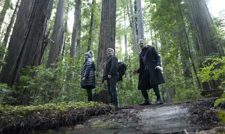Świat według Jeffa Goldbluma - galeria zdjęć - filmweb