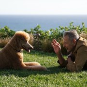 The World According to Jeff Goldblum - galeria zdjęć - filmweb