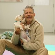 The World According to Jeff Goldblum - galeria zdjęć - filmweb