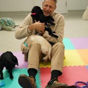 The World According to Jeff Goldblum - galeria zdjęć - filmweb