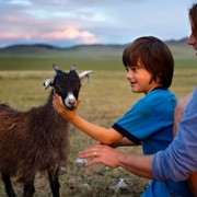 Opowieść ojca. Przez mongolskie stepy w poszukiwaniu cudu - galeria zdjęć - filmweb