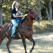 The Horse Boy - galeria zdjęć - filmweb