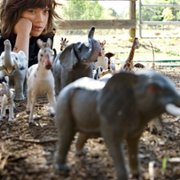 The Horse Boy - galeria zdjęć - filmweb