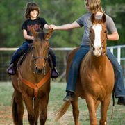 The Horse Boy - galeria zdjęć - filmweb