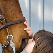 The Horse Boy - galeria zdjęć - filmweb