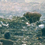 Powaqqatsi - galeria zdjęć - filmweb