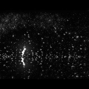 The Mooseman - galeria zdjęć - filmweb