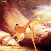 Bambi - galeria zdjęć - filmweb