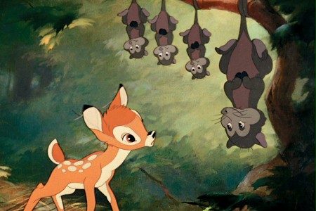 Bambi - galeria zdjęć - filmweb