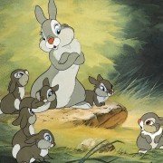 Bambi - galeria zdjęć - filmweb