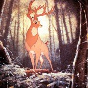 Bambi - galeria zdjęć - filmweb