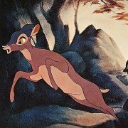 Bambi - galeria zdjęć - filmweb