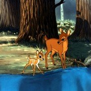 Bambi - galeria zdjęć - filmweb