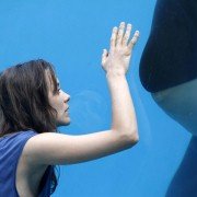 Rust and Bone - galeria zdjęć - filmweb