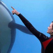 De rouille et d'os - galeria zdjęć - filmweb
