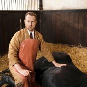 All Creatures Great and Small - galeria zdjęć - filmweb