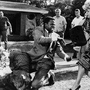 W cieniu dobrego drzewa - galeria zdjęć - filmweb