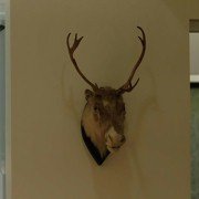 Vuosaari - galeria zdjęć - filmweb