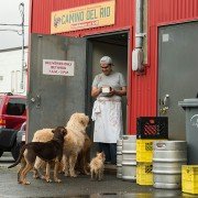 A Dog's Way Home - galeria zdjęć - filmweb