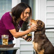 A Dog's Way Home - galeria zdjęć - filmweb