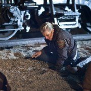 Longmire - galeria zdjęć - filmweb