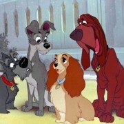 Lady and the Tramp - galeria zdjęć - filmweb