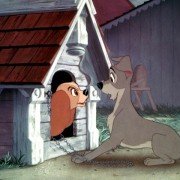 Lady and the Tramp - galeria zdjęć - filmweb