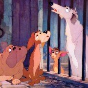 Lady and the Tramp - galeria zdjęć - filmweb