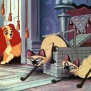 Lady and the Tramp - galeria zdjęć - filmweb