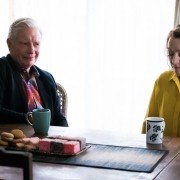 800 Words - galeria zdjęć - filmweb
