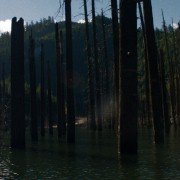 Night Moves - galeria zdjęć - filmweb
