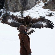 Brothers of the Wind - galeria zdjęć - filmweb