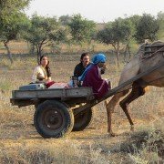 Chalo Dilli - galeria zdjęć - filmweb