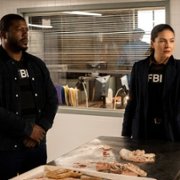 FBI: Most Wanted - galeria zdjęć - filmweb