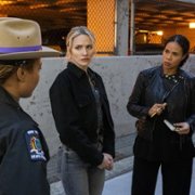 FBI: Most Wanted - galeria zdjęć - filmweb