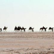 Black Gold - galeria zdjęć - filmweb