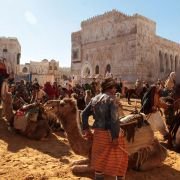 Black Gold - galeria zdjęć - filmweb