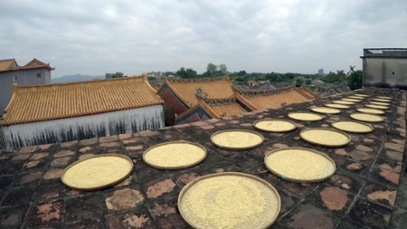 Sezon 1 Odcinek 5 Pasta sojowa z Puningu