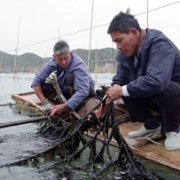 Pyszne tradycje - galeria zdjęć - filmweb
