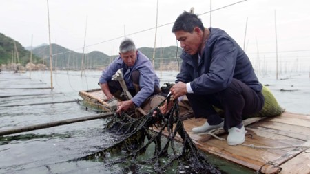 Sezon 1 Odcinek 7 Wodorosty