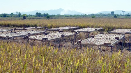 Sezon 1 Odcinek 8 Ostrygi